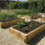 Mini Green Timber Railway Sleepers  Gardener Supplies
