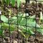 Plastic Net Fence 19mm x 19mm  Gardener Supplies