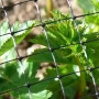 Premium Anti-Bird Plastic Netting 12mm Mesh  Tildenet