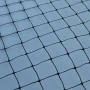 Economy Anti-Bird Plastic Netting  Tildenet