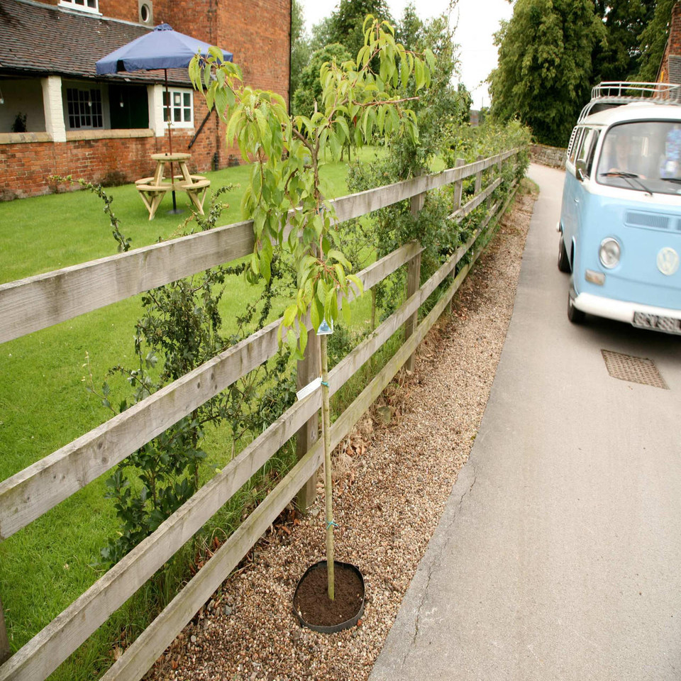 Terram Rootguard Plus - RootBarriers | Gardener Supplies