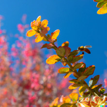 How Autumnal Atmospheres Impact Your Skincare Regimen How Autumnal Atmospheres Impact Your Skincare Regimen