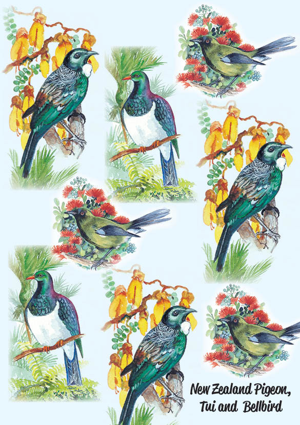 NZ notepad with Tui, Wood pigeon, and bellbird - Adore Collection
