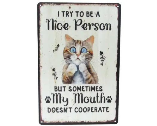 Retro style tin sign - I try to be a nice person, but sometimes my ...