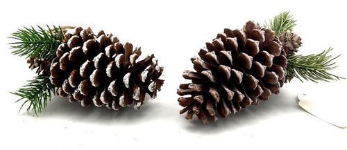 hanging pine cone  decoration (price per piece)