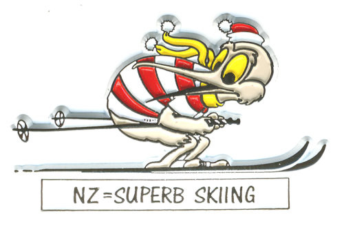 Skiing Kiwi - Fridge Magnet