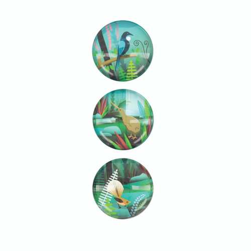 Acrylic Dome set of 3 fridge magnets - set of NZ Native birds