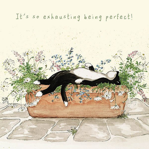 Greeting Card - It is so exhausting being perfect!