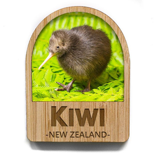 Arch Shape fridge magnet - NZ Brown Kiwi chick