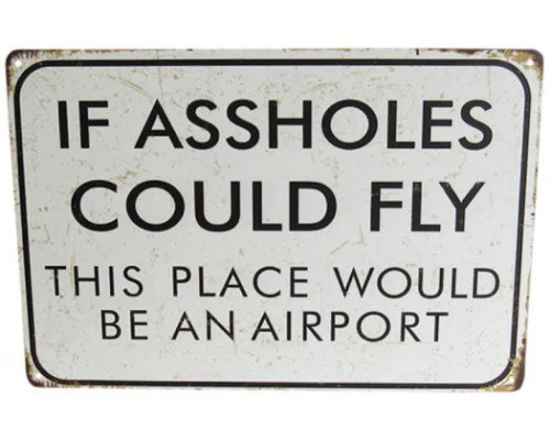 Retro style tin sign - If assholes could fly this place would be an airport