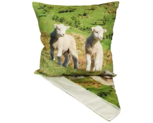 Lambs in a field cushion cover