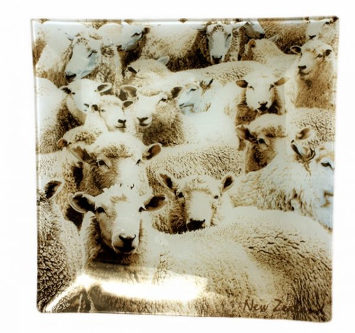 New Zealand sheep glass plate