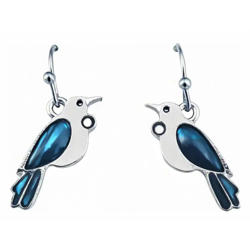 New Zealand Paua shell Tui  Earrings on hooks