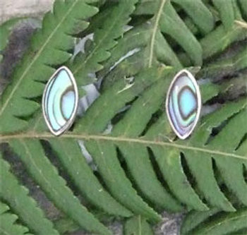 Sterling Silver Paua Stud Earring