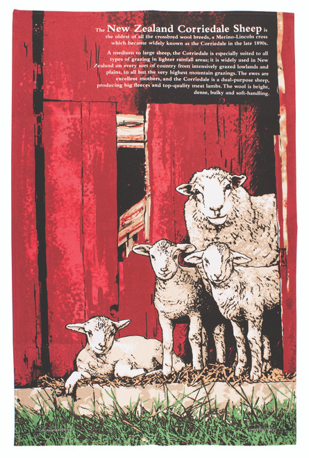 New Zealand Corriedale Sheep Tea Towel | 100% cotton