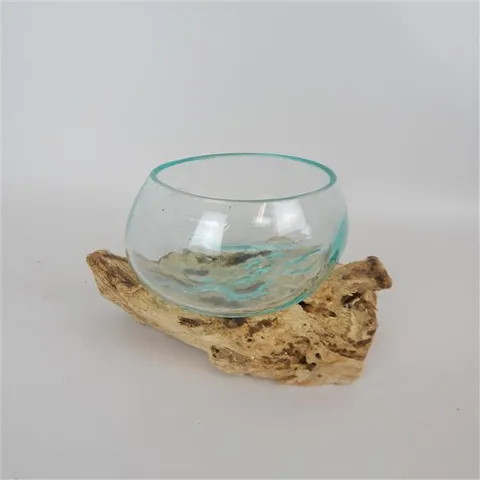 Glass Bowl Vase on DriftWood | 12cm