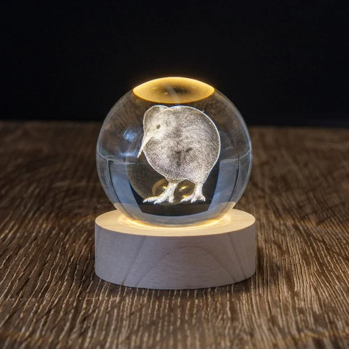 LED Light Up Globe |  NZ Kiwi