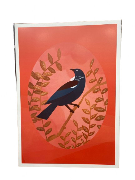 NZ Native Birds A3 Print | NZ Tui