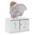 Disney Magical Christmas - Dumbo perpetual Christmas Calendar