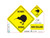 NZ Kiwi Xing sticker
