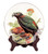 NZ Native Kaka on porcelain decorative plate