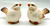 Little white bird ceramic ornament