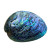 NZ Paua shell fully polished