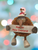 Hanging Christmas Pom Pom Kiwi with Napier New Zealand sign