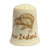 NZ souvenir thimble with kiwi design