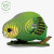 NZ Kakapo green parrot 3D cardboard kitset model