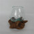 Glass Bowl Vase on DriftWood | 14cmX20cm
