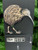 NZ birds colour metal art  - various designs - NZ Kiwi