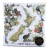 Pack of 20 New Zealand map napkins with native birds and flowers