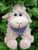 NZ Sheep Soft Toy | Wearing Blue & White Scarf