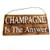 wooden hanging sign - Champagne is the Answer