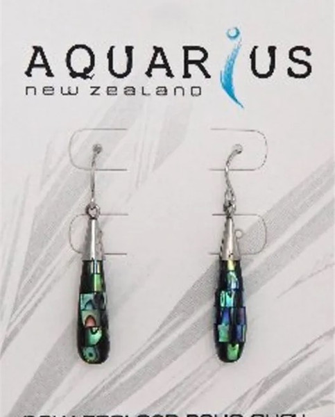 Small Paua Blocking Teardrop Earrings