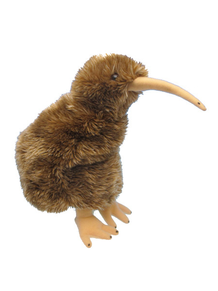 Brown NZ Kiwi with sound puppet