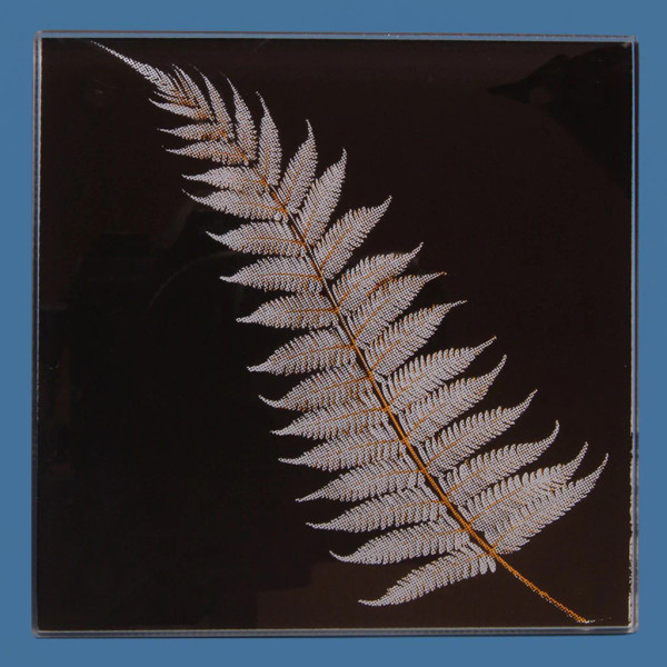 NZ Silver Fern Glass coasters set of 4