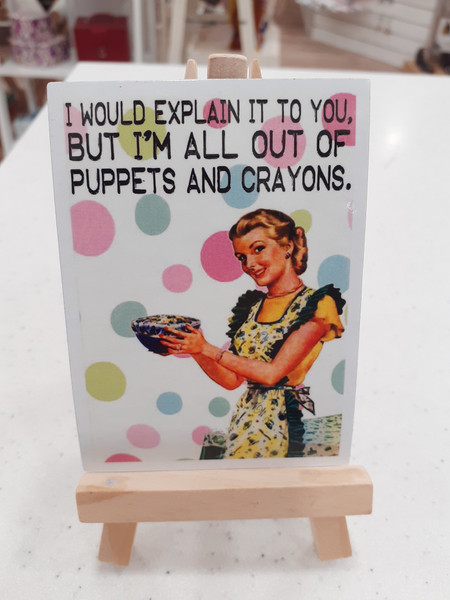 Funny Fridge Magnet - I would explain it to you ...