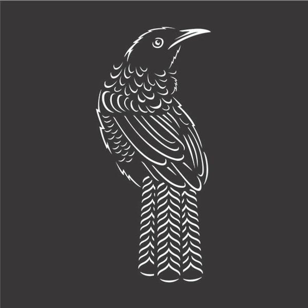 NZ Tui - Black and White Art Canvas with colour changing LED lights