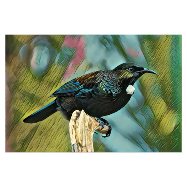 NZ Tui print on glass wall art