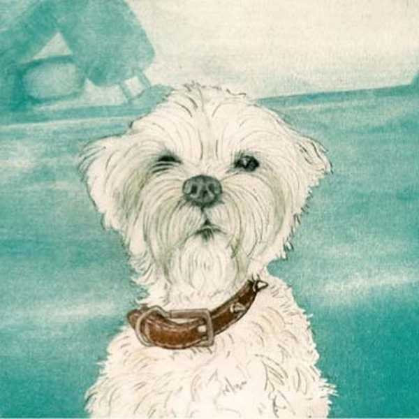 Greetings Card - white puppy