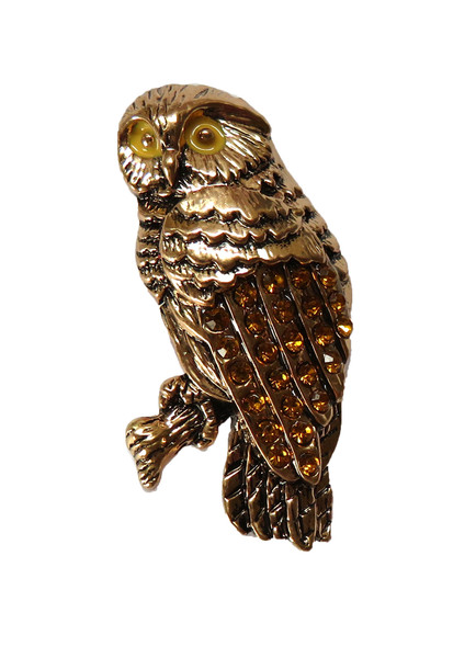 Morepork Brooch