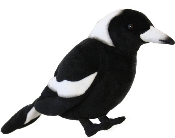 Magpie with real sound