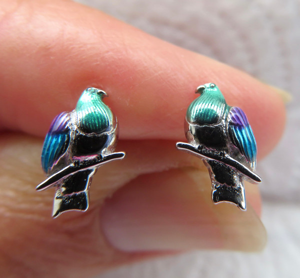 Kereru Studs, sterling silver with enamel