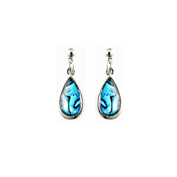 New Zealand paua shell teardrop earrings on posts (boxed)