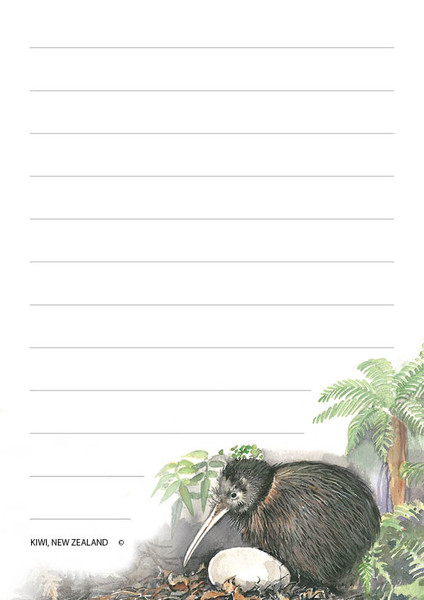 NZ notepad with Kiwi and egg design