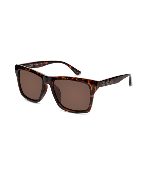 Gotham Sunglasses-  Tortoiseshell frame with brown lens