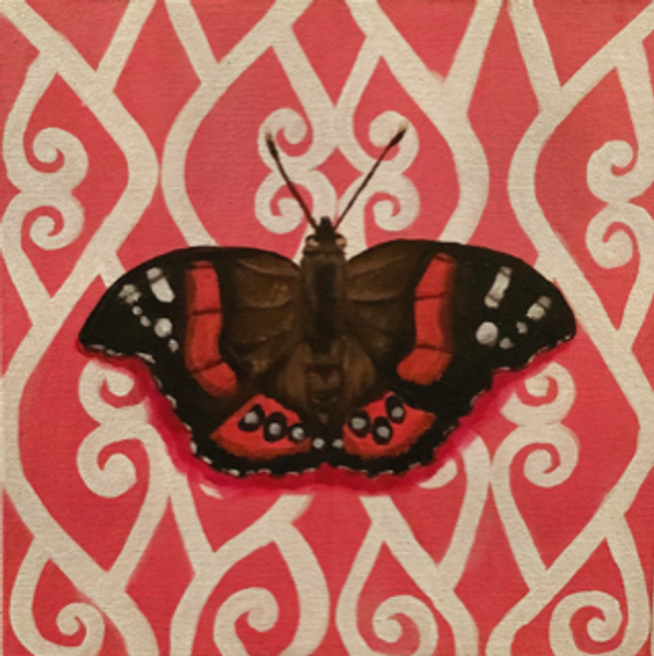 Jasmine Ruru art print - Kahukura (NZ red admiral butterfly) - large