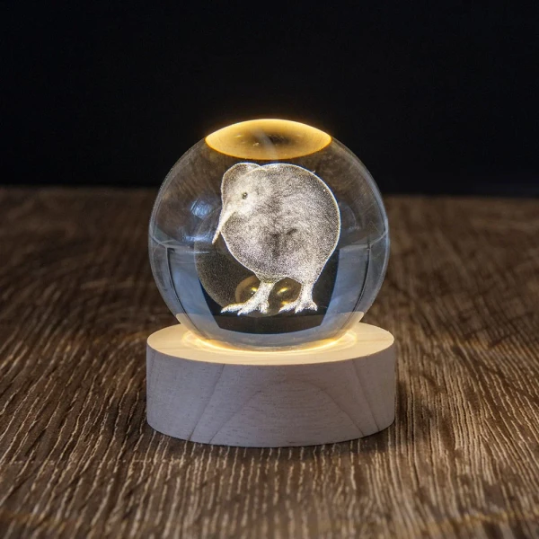 LED Light Up Globe |  NZ Kiwi